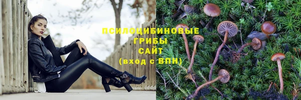СК Медногорск